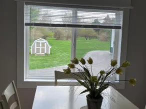 * Near MSU, Lake, Fire pit, Private Backyard. - Image 4