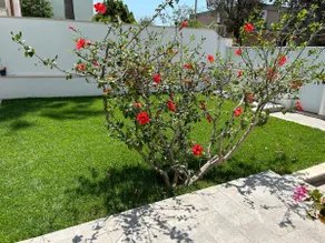 Sea Breeze Garden House - Image 4