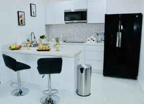Luxury Studio only 5 miles IAH - Image 3