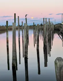 Waterfront Wonderland! Close to LBI - Image 4