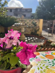 Nonna Ciccina’s House - Image 5