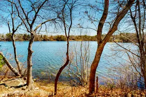 Lakefront Gem: Views, Paddleboards & Firepit - Image 5
