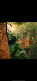 Las Lianas Cabin - Image 4