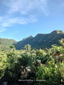 Beautiful 180-degree mountain view studio, the blue house. - Image 4
