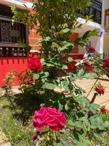 Casa La Arboleda - Image 2