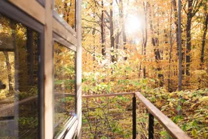 Cabin Diamond – Cozy Tiny Forest Retreat - Image 3