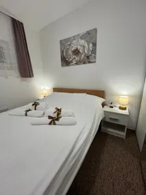 Apartmani MOSLAVINA i parking - Image 4
