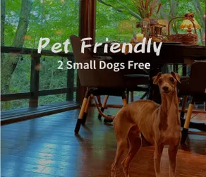 Creek Classic Cabin near Angel Forest /2 Dogs Free - Image 4