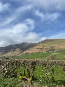 Holiday home under Blencathra - Image 4