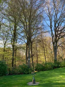Experience The Forest And Sea - Image 4