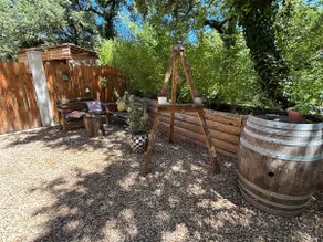 The Chestnut Trees - Image 5
