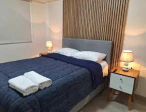 Luxe PET Friendly Apt/Jacuzzi/Garage/WFH - Image 3