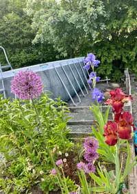 Bright, serene 1 bedroom suite in Colwood - Image 4