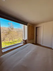 Streliciahouse - Image 3