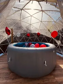 Streliciahouse - Image 4