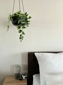 Urban Jungle apartament - Image 3
