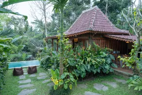 Private pool 1 BR Jungle view - Image 2