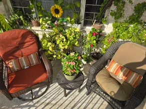 A pleasant and charming place We look forward to seeing you - Image 5