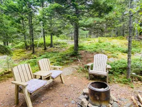 Acadia Cabin Bar Harbor - Newly renovated bathroom - Image 3