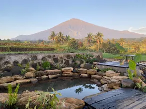Virama Giri - Villa Kayu Tengah Sawah - Image 2