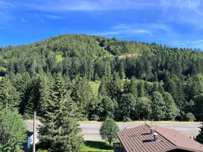 Le Balcon - La Bresse - Image 5