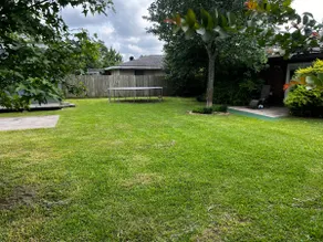 Southern Charm-pets allowed! Reoccurring discount - Image 3