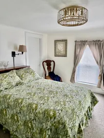 Nostalgic Suite - Image 2