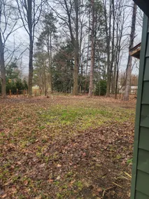 Tranquil Woodland Cottage by Pymatuning State Park - Image 3