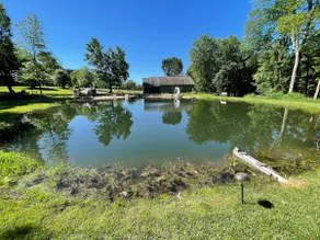 Golden Pond Cabin • Private Beach & Firepit - Image 5