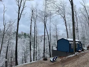 Peaceful Cabin in the woods - Image 4