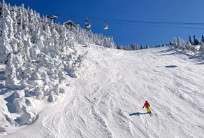 *New* Ski-In, Free Shuttle, Walk to Village, 6pp - Image 4
