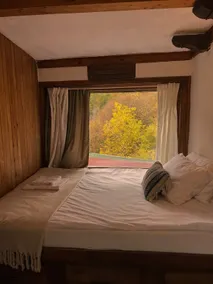 Balkans Serendipity - pet friendly, forest house - Image 5