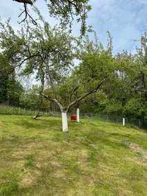 Casa rustica Cerdacul Batranesc - Image 3