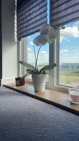 Entire Apartment, Greater London, RM13 - Image 5