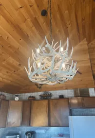 Country Cottage 571 - Image 5