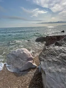 Endless Summer - Image 2