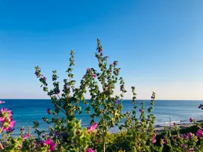 ”Il Profumo del Mare” blue flag - Image 5