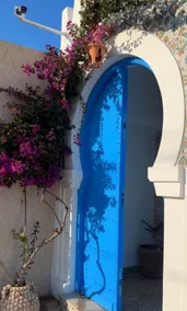 Luxury Arabesque Artisan Villa - Image 4