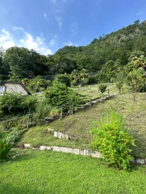 Casa Lilia - Image 5