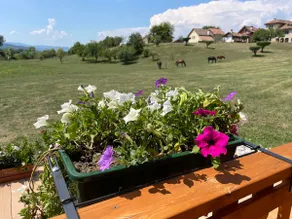 Agricamp Dolomiti - Image 4