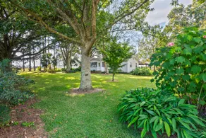 The Cottage at Steve’s Farm - Image 5