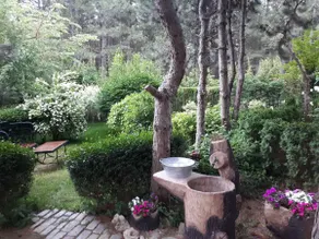House ”In the woods by the sea” and massage - Image 2