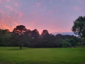 Moon Tree Cabin ~July 20-24th NOW OPEN! - Image 2