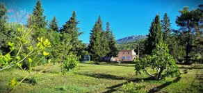 beautiful & large property with pool. - Image 3