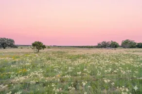 Family Ranch ~ Spacious ~ Disc Golf/Games ~ Nature - Image 5
