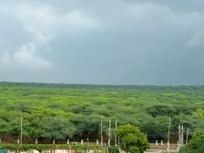 The Urban Loft - Aravali view on Golf Course road - Image 3