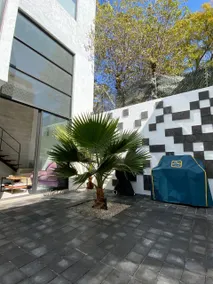 Apartment with its own garden. - Image 2
