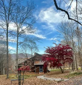 Nature's Embrace at the Gunks - Image 4