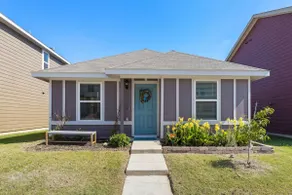 Modern Pet Friendly Fenced Yard near AT&T Stadium - Image 3
