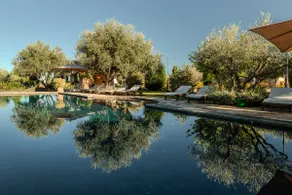 Luxury Apartment with Pool - the Olive Tree - Image 4